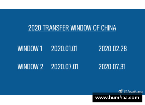 球员转会市场分析：数据揭示2024年夏季转会窗口的最新趋势